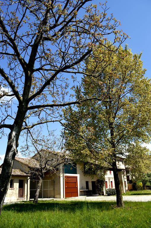 Agriturismo Ca Roer San Zenone Exterior foto